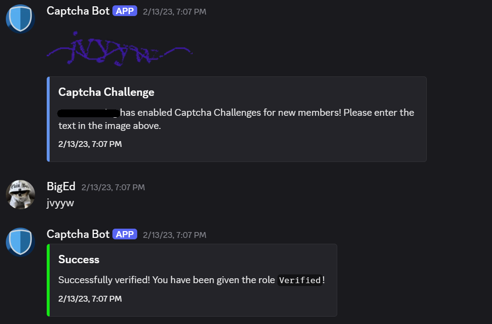 Captcha Bot Preview