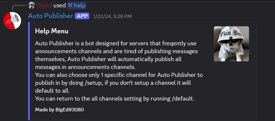 Auto Publisher Preview